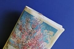 Kitap Kılıfı - Van Gogh Bahar Hediyesi